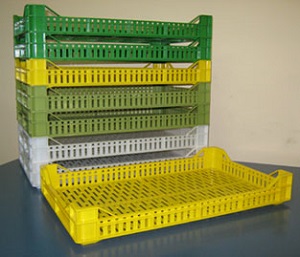 holandez 3 holandez-3